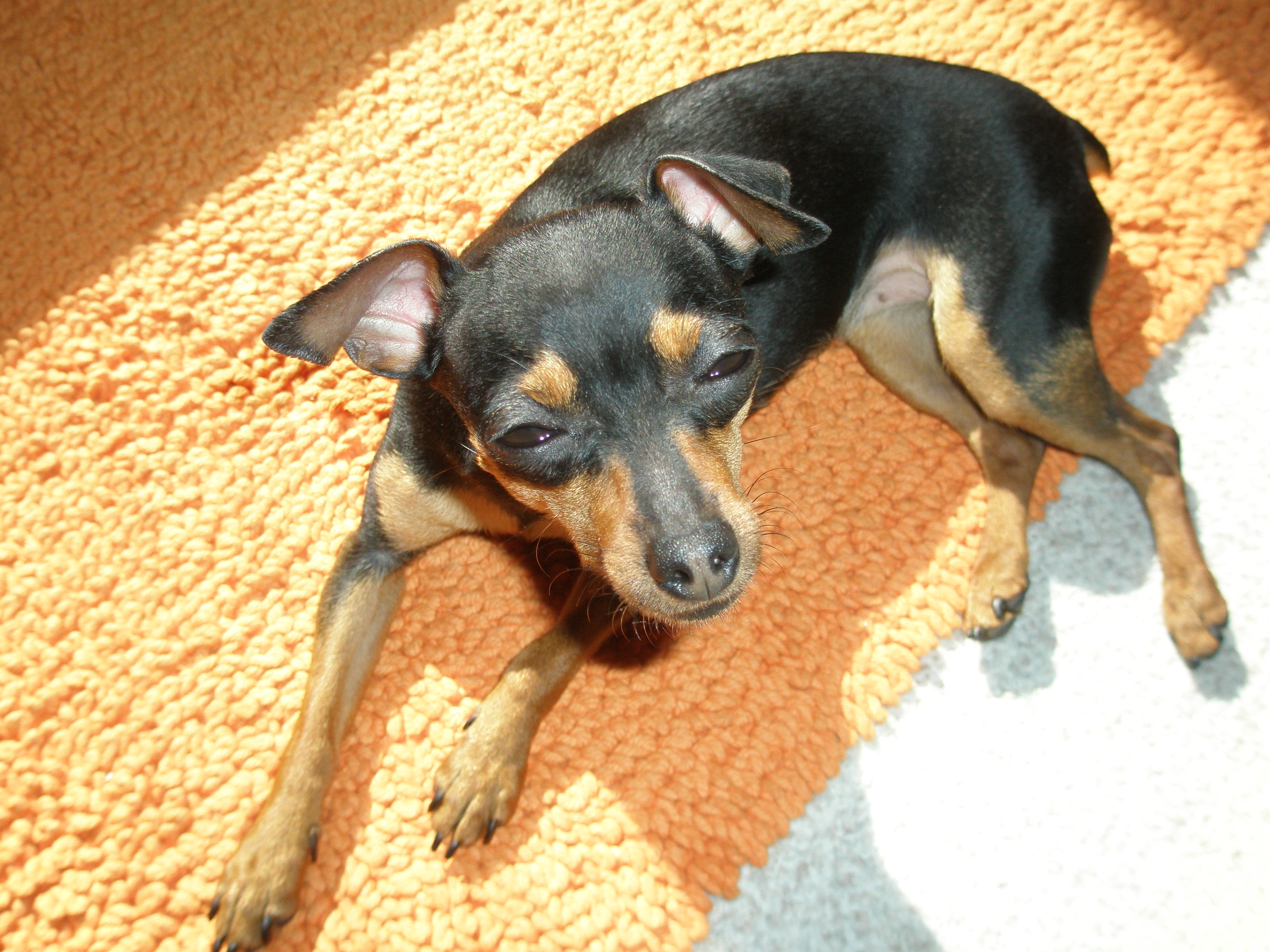 Snímek 039.jpg